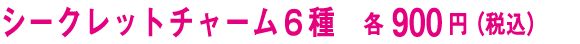 シークレットチャーム６種　各900円(税込）